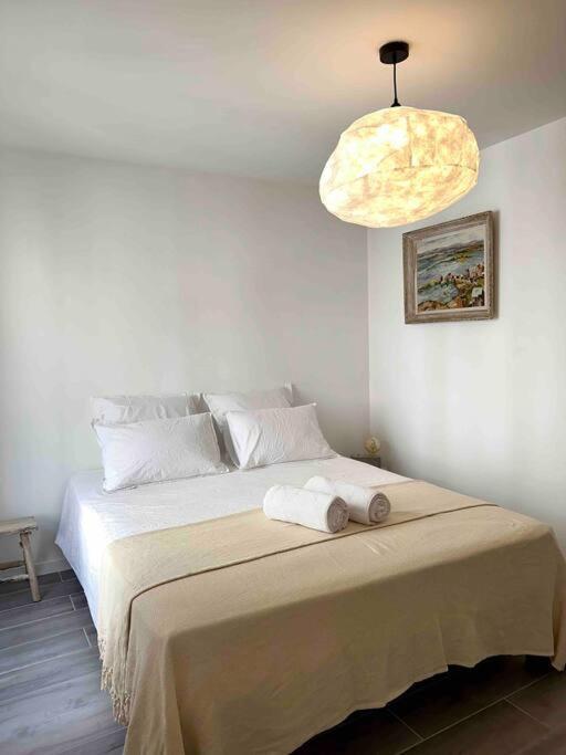 Lou Paseo : Appartement Brocante Centre Historique Л'Иль-сюр-ла-Сорг Экстерьер фото